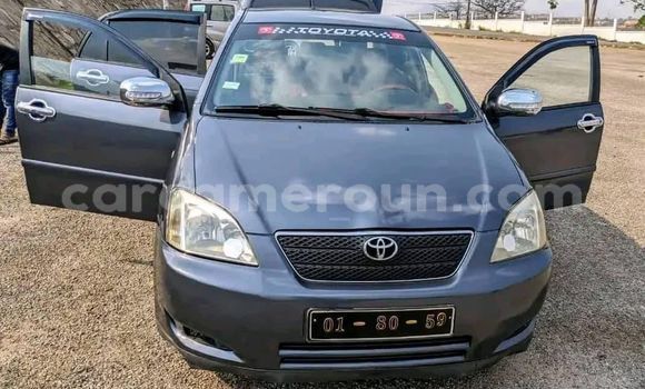 Sayi Na hannu Toyota Corolla Sauran Mota in Ambam a Kamaru ta Kudu