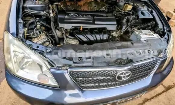 Sayi Na hannu Toyota Corolla Sauran Mota in Ambam a Kamaru ta Kudu Sayi Na hannu Toyota Corolla Sauran Mota in Ambam a Kamaru ta Kudu