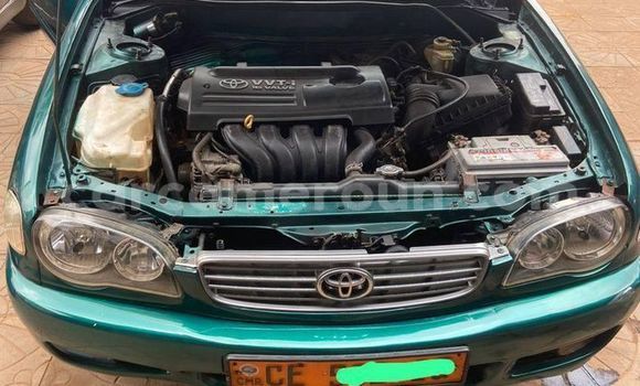 Sayi Na hannu Toyota Corolla Sauran Mota in Yaounde a Babban Kamaru Sayi Na hannu Toyota Corolla Sauran Mota in Yaounde a Babban Kamaru