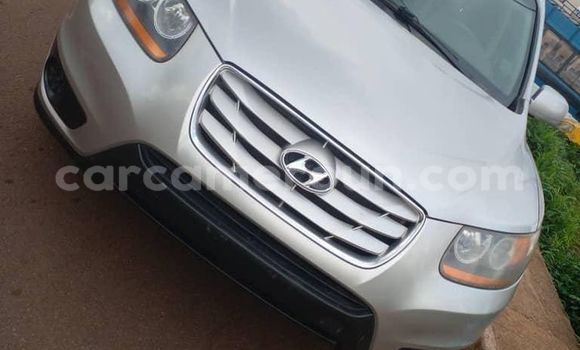 Buy Used Hyundai Santa Fe Other Car in Yaounde in Central Cameroon