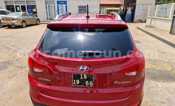 Sayi Na hannu Hyundai Tucson Red Mota in Yaounde a Babban Kamaru Sayi Na hannu Hyundai Tucson Red Mota in Yaounde a Babban Kamaru
