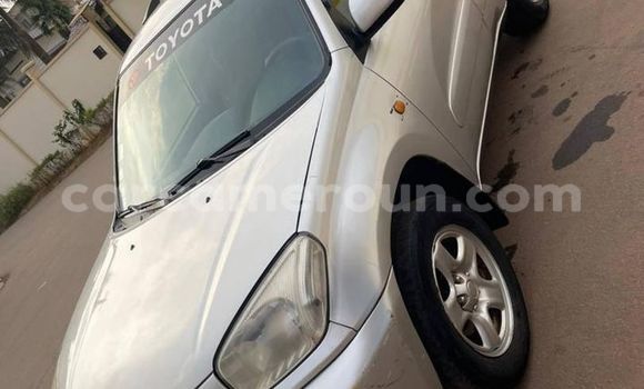 Sayi Na hannu Toyota RAV4 Sauran Mota in Yaounde a Babban Kamaru Sayi Na hannu Toyota RAV4 Sauran Mota in Yaounde a Babban Kamaru