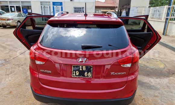 Sayi Na hannu Hyundai Tucson Red Mota in Yaounde a Babban Kamaru Sayi Na hannu Hyundai Tucson Red Mota in Yaounde a Babban Kamaru