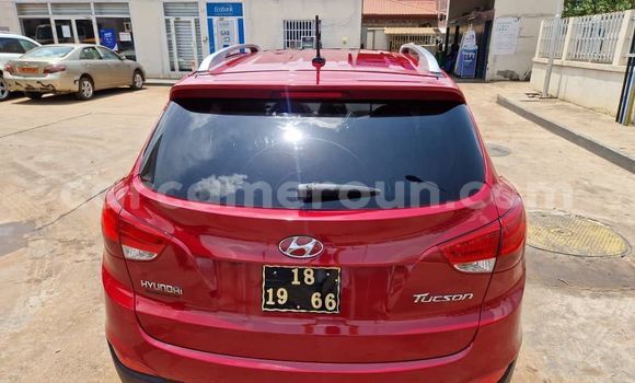 Sayi Na hannu Hyundai Tucson Red Mota in Yaounde a Babban Kamaru Sayi Na hannu Hyundai Tucson Red Mota in Yaounde a Babban Kamaru