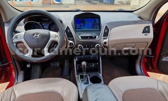 Sayi Na hannu Hyundai Tucson Red Mota in Yaounde a Babban Kamaru Sayi Na hannu Hyundai Tucson Red Mota in Yaounde a Babban Kamaru