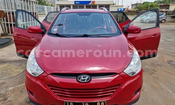 Sayi Na hannu Hyundai Tucson Red Mota in Yaounde a Babban Kamaru Sayi Na hannu Hyundai Tucson Red Mota in Yaounde a Babban Kamaru