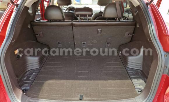 Sayi Na hannu Hyundai Tucson Red Mota in Yaounde a Babban Kamaru Sayi Na hannu Hyundai Tucson Red Mota in Yaounde a Babban Kamaru