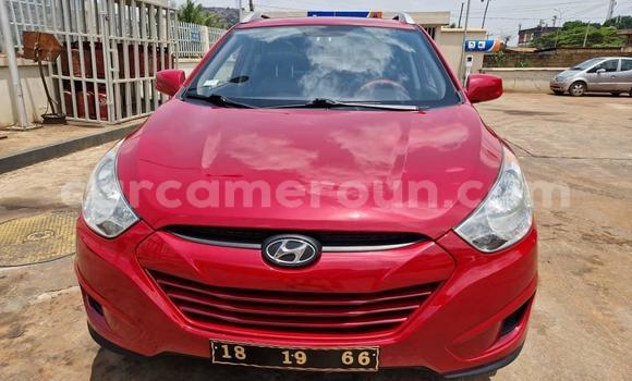 Sayi Na hannu Hyundai Tucson Red Mota in Yaounde a Babban Kamaru Sayi Na hannu Hyundai Tucson Red Mota in Yaounde a Babban Kamaru