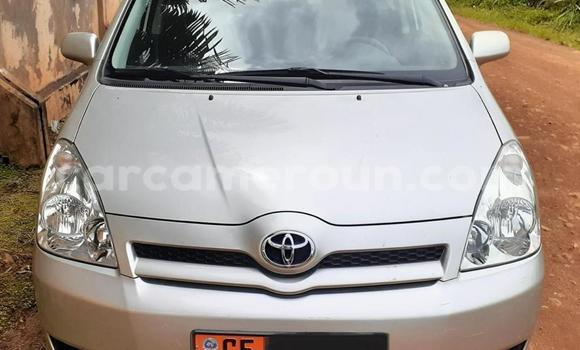 Acheter Occasion Voiture Toyota Corolla Verso Gris à Yaoundé, Central Cameroon Acheter Occasion Voiture Toyota Corolla Verso Gris à Yaoundé, Central Cameroon