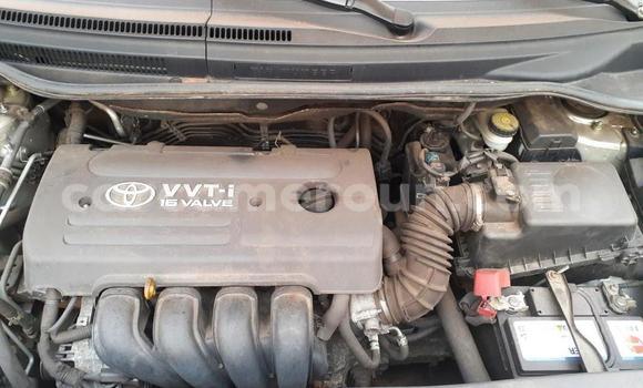 Acheter Occasion Voiture Toyota Corolla Verso Gris à Yaoundé, Central Cameroon Acheter Occasion Voiture Toyota Corolla Verso Gris à Yaoundé, Central Cameroon