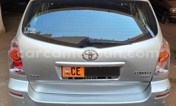 Acheter Occasion Voiture Toyota Corolla Verso Gris à Yaoundé, Central Cameroon Acheter Occasion Voiture Toyota Corolla Verso Gris à Yaoundé, Central Cameroon