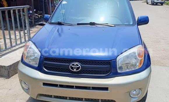 Sayi Na hannu Toyota RAV4 Blue Mota in Yaounde a Babban Kamaru