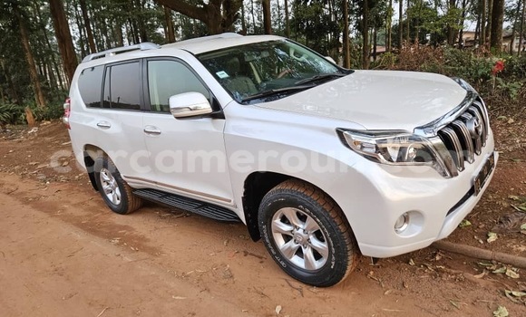 Acheter Occasion Voiture Toyota Land Cruiser Prado Blanc à Yaoundé, Central Cameroon Acheter Occasion Voiture Toyota Land Cruiser Prado Blanc à Yaoundé, Central Cameroon