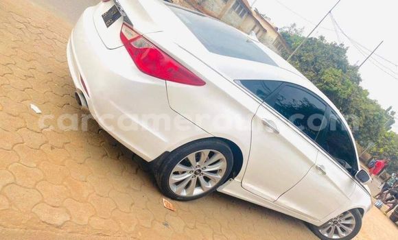 Acheter Occasion Voiture Hyundai Sonata Blanc à Yaoundé, Central Cameroon Acheter Occasion Voiture Hyundai Sonata Blanc à Yaoundé, Central Cameroon