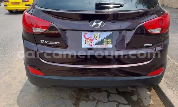 Buy Used Hyundai Tucson Other Car in Douala in Littoral Cameroon Buy Used Hyundai Tucson Other Car in Douala in Littoral Cameroon