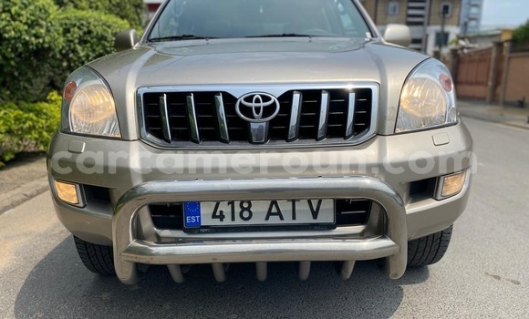 Buy New Toyota Land Cruiser Prado Beige Car in Douala in Littoral Cameroon