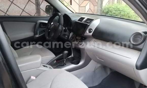 Buy Used Toyota RAV4 Black Car in Yaounde in Central Cameroon Buy Used Toyota RAV4 Black Car in Yaounde in Central Cameroon