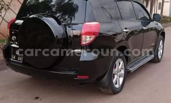 Buy Used Toyota RAV4 Black Car in Yaounde in Central Cameroon Buy Used Toyota RAV4 Black Car in Yaounde in Central Cameroon