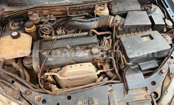 Buy Used Ford Focus Blue Car in Yaounde in Central Cameroon