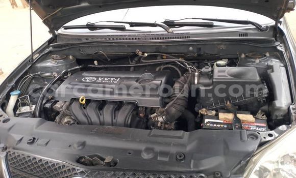 Acheter Occasion Voiture Toyota Corolla Autre à Yaoundé, Central Cameroon Acheter Occasion Voiture Toyota Corolla Autre à Yaoundé, Central Cameroon