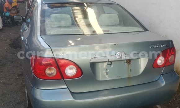 Buy Import Toyota Corolla Other Car in Douala in Littoral Cameroon Buy Import Toyota Corolla Other Car in Douala in Littoral Cameroon