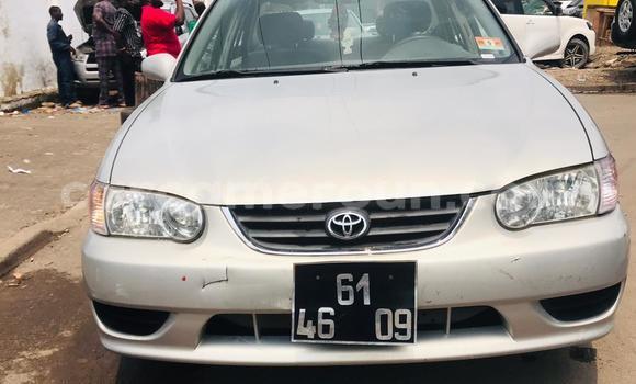 Acheter Import Voiture Toyota Corolla Gris à Douala, Littoral Cameroon