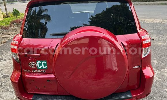Buy Import Toyota RAV4 Red Car in Douala in Littoral Cameroon Buy Import Toyota RAV4 Red Car in Douala in Littoral Cameroon