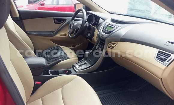 Buy Import Hyundai Elantra Red Car in Douala in Littoral Cameroon Buy Import Hyundai Elantra Red Car in Douala in Littoral Cameroon