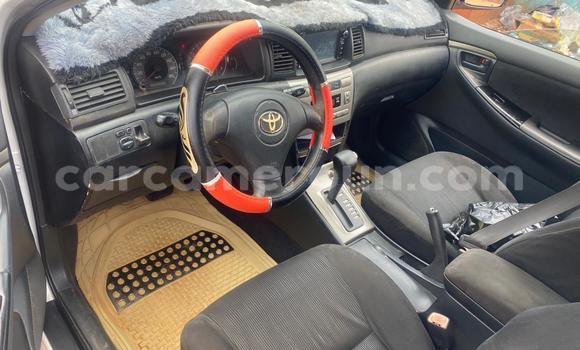 Acheter Occasion Voiture Toyota Runx Blanc à Yaoundé, Central Cameroon Acheter Occasion Voiture Toyota Runx Blanc à Yaoundé, Central Cameroon