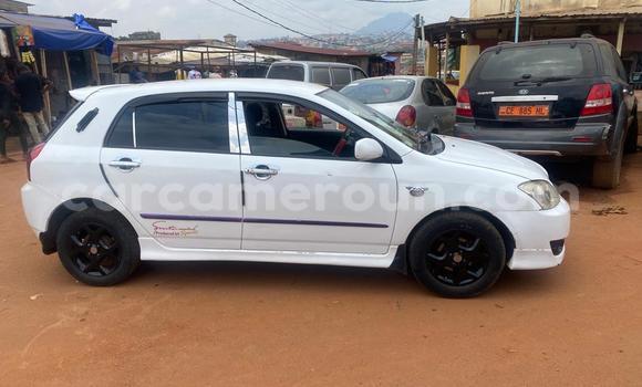 Acheter Occasion Voiture Toyota Runx Blanc à Yaoundé, Central Cameroon Acheter Occasion Voiture Toyota Runx Blanc à Yaoundé, Central Cameroon