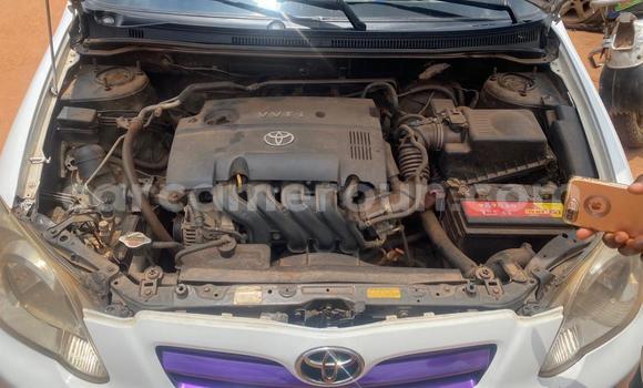 Acheter Occasion Voiture Toyota Runx Blanc à Yaoundé, Central Cameroon Acheter Occasion Voiture Toyota Runx Blanc à Yaoundé, Central Cameroon