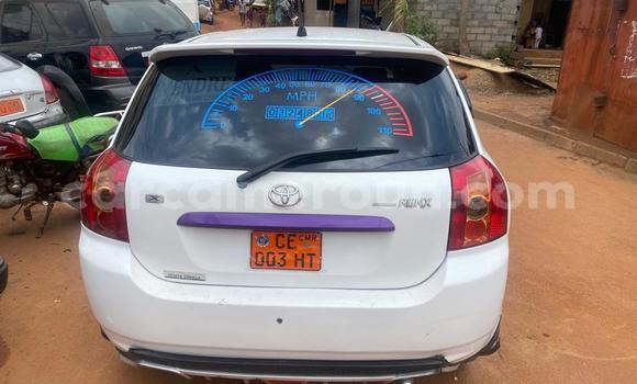 Acheter Occasion Voiture Toyota Runx Blanc à Yaoundé, Central Cameroon Acheter Occasion Voiture Toyota Runx Blanc à Yaoundé, Central Cameroon