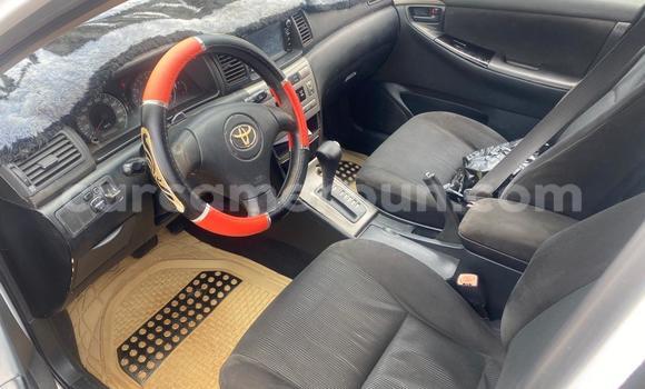 Acheter Occasion Voiture Toyota Runx Blanc à Yaoundé, Central Cameroon Acheter Occasion Voiture Toyota Runx Blanc à Yaoundé, Central Cameroon