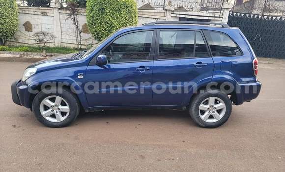 Buy Used Toyota RAV4 Blue Car in Yaounde in Central Cameroon Buy Used Toyota RAV4 Blue Car in Yaounde in Central Cameroon