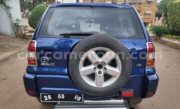 Buy Used Toyota RAV4 Blue Car in Yaounde in Central Cameroon Buy Used Toyota RAV4 Blue Car in Yaounde in Central Cameroon