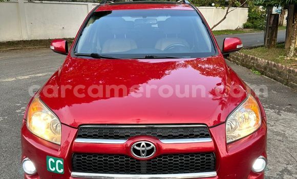 Sayi Imported Toyota RAV4 Red Mota in Douala a Ƙasar Kamaru