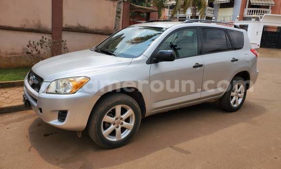 Acheter Occasion Voiture Toyota RAV4 Autre à Yaoundé, Central Cameroon Acheter Occasion Voiture Toyota RAV4 Autre à Yaoundé, Central Cameroon