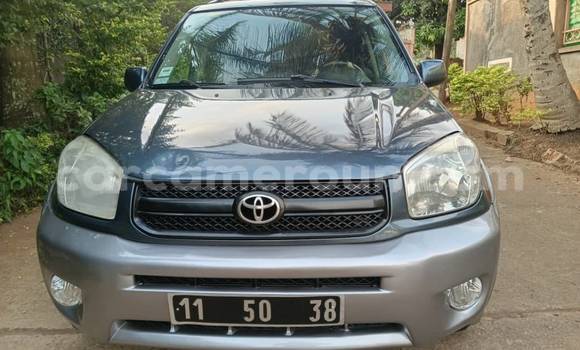 Buy Used Toyota RAV4 Other Car in Yaounde in Central Cameroon