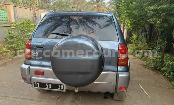 Acheter Occasion Voiture Toyota RAV4 Autre à Yaoundé, Central Cameroon Acheter Occasion Voiture Toyota RAV4 Autre à Yaoundé, Central Cameroon