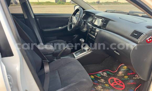 Acheter Occasion Voiture Toyota Runx Blanc à Yaoundé, Central Cameroon Acheter Occasion Voiture Toyota Runx Blanc à Yaoundé, Central Cameroon