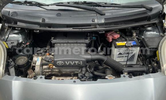 Buy Used Toyota Belta Silver Car in Douala in Littoral Cameroon Buy Used Toyota Belta Silver Car in Douala in Littoral Cameroon