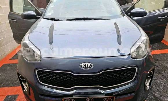 Acheter Occasion Voiture Kia Sportage Autre à Yaoundé, Central Cameroon