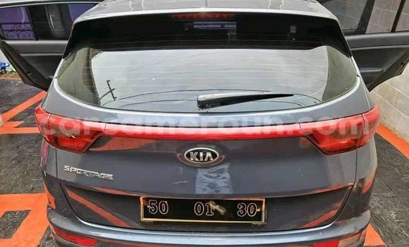 Acheter Occasion Voiture Kia Sportage Autre à Yaoundé, Central Cameroon Acheter Occasion Voiture Kia Sportage Autre à Yaoundé, Central Cameroon