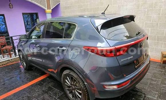 Acheter Occasion Voiture Kia Sportage Autre à Yaoundé, Central Cameroon Acheter Occasion Voiture Kia Sportage Autre à Yaoundé, Central Cameroon