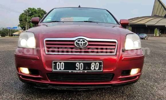 Buy Used Toyota Highlander Red Car in Douala in Littoral Cameroon