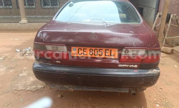 Sayi Na hannu Toyota Carina Sauran Mota in Yaounde a Babban Kamaru Sayi Na hannu Toyota Carina Sauran Mota in Yaounde a Babban Kamaru