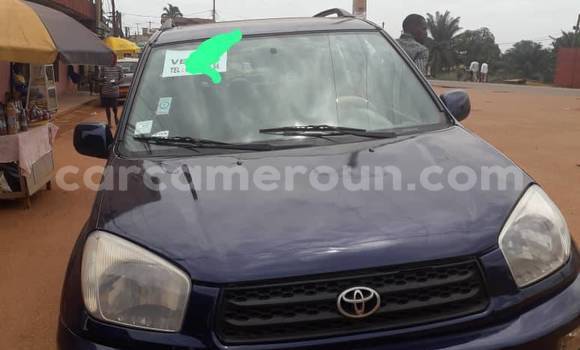 Buy Used Toyota RAV4 Black Car in Douala in Littoral Cameroon