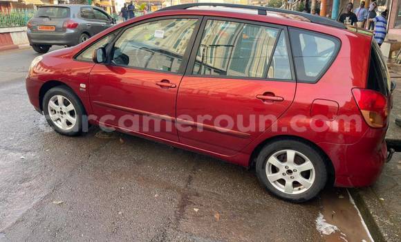 Buy Used Toyota Corolla Red Car in Douala in Littoral Cameroon