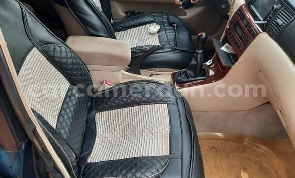 Sayi Na hannu Toyota Allex Sauran Mota in Ambam a Kamaru ta Kudu Sayi Na hannu Toyota Allex Sauran Mota in Ambam a Kamaru ta Kudu