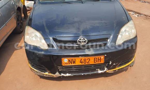 Acheter Occasion Voiture Toyota Runx Noir à Yaoundé, Central Cameroon